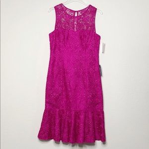 NWT Eliza J Pink Lace Peplum Bottom Dress